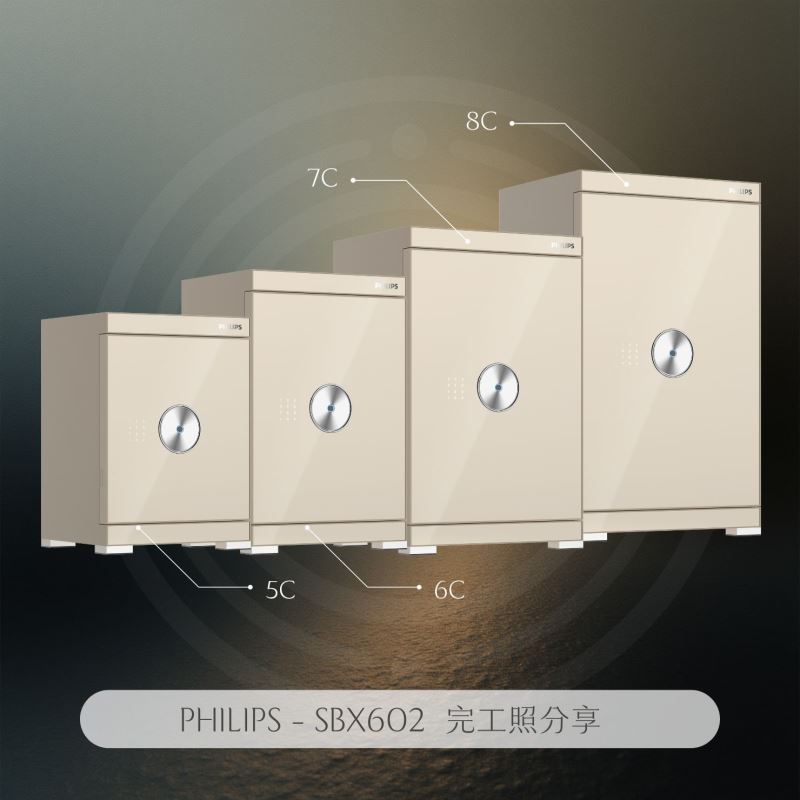 PHILIPS - SBX602 完工照分享