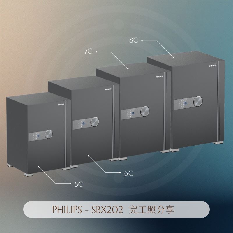 PHILIPS - SBX202 完工照分享